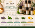 Escencial Oils